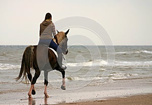 Trotting on the beach