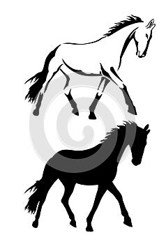 Trotting horse set vector ~