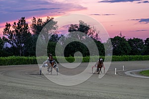 Trotting racehorses and rider on a stadium track.Horse running on the track with the rider at sunset. photo