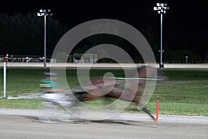 Trotting racehorses and rider on a stadium track. Competitions for trotting horse racing. photo