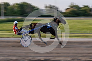 Trotting racehorses and rider on a stadium track. Competitions for trotting horse racing. Horses compete in harness racing. photo