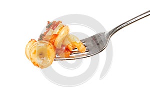 Trottole pasta on a fork