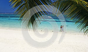 Trou aux biches beach Mauritius Island photo