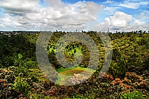 Trou Aux Cerfs Volcano crater in Mauritius