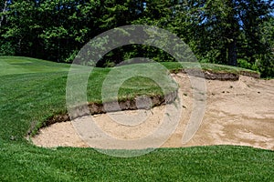 Trouble on the golf course, sand trap protecting a golf green with trees in the background