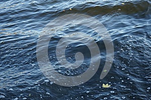 Troubled waters of the Dahme river in Berlin, Germany