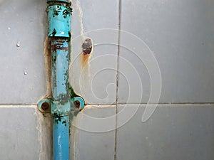 Troubling problem of rust stains and moss up the water pipes and walls in the bathroom, so difficult to clean. photo