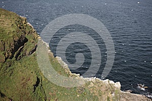 Troup Head, RSPB reserve