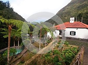 Trout farming pool with traditional house in Ribeiro Frio in Mad photo