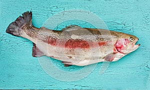 Trout fish on blue wooden table. Top view, copy space