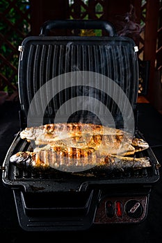 trout fish on the grill during cooking