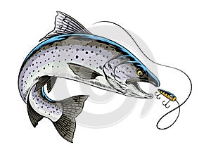 Trout Fish Hand Drawn Illustration Catching the Fishing Lure