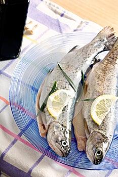 Trout fish healthy food with lemon