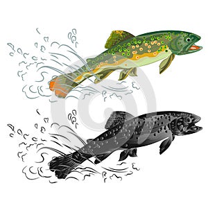 Trout fish jumping beauty wildness natural as wrought metal vintage vector illustration editable hand draw photo