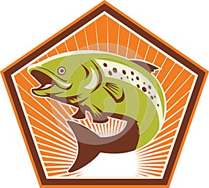 Trout Fish Jumping Retro