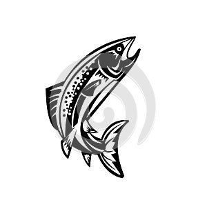 Trout Fish Jumping Woodcut Retro Black and White