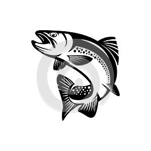 Trout fish silhouette, fishing logo