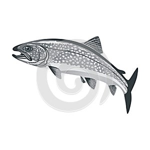 Trout Fish Vector Greyscale