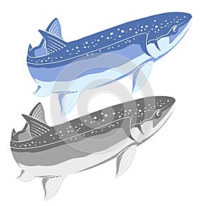 Trout Fish Vector Logo Design