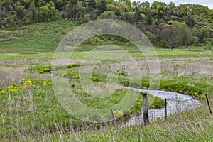 Trout Fishing