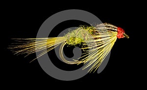 Trout Fishing Fly