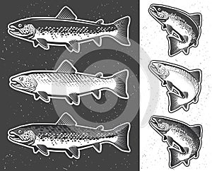 Trout fishing. Vintage trout fishing emblems, labels and design elements