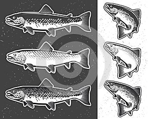 Trout fishing. Vintage trout fishing emblems, labels and design elements photo