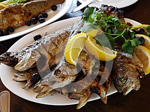 Trout fried fish.