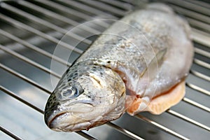 Trout on grill