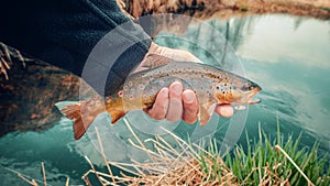 Trout in the hand of angler. Fishing