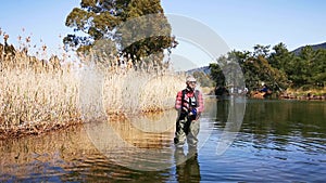 Trout hunt between reedy. In Hisaronu.