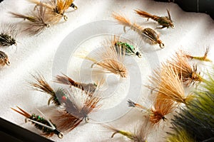 Trout lures in fly box