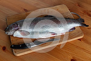 Trout lying on a cutting board in the kitchen