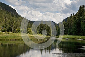 Trout stream in the Black Hills of South Dakota