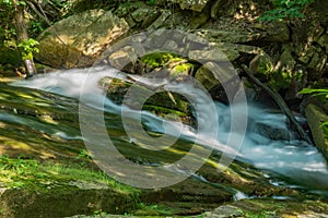 Trout Stream in the Jefferson National Forest