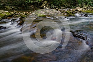 Trout Stream in the Jefferson National Forest, USA