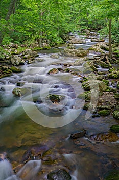 Trout Stream in the Jefferson National Forest, USA