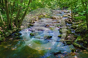 Trout Stream in the Jefferson National Forest, USA