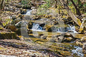 Trout Stream on Little North Mountain