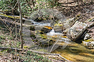 Trout Stream on Little North Mountain