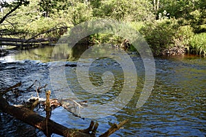 Trout Stream in the Poconos