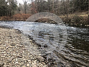 Trout Stream in the Poconos of Pennsylvania