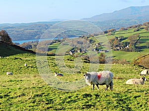 The Troutbeck Valley.