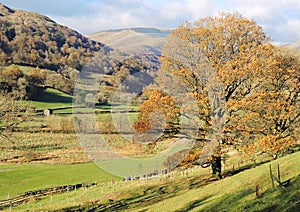 The Troutbeck Valley.