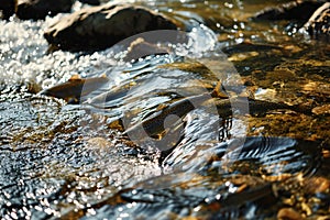 Trouts go for spawning upstream. Generative AI