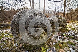 Trovantii â€“ the strangest living stones in Romania