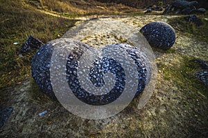 Trovantii â€“ the strangest living stones in Romania