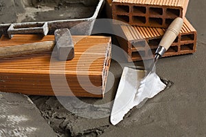 Trowel and bricks