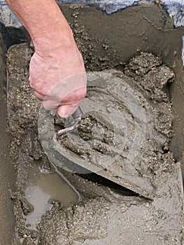 Trowel in wet cement