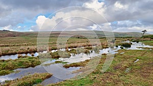 Trowlesworthy Warren Dartmoor National Park Devon uk